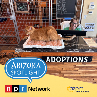 episode Arizona Theatre Company's "Deceived" takes gaslighting to a whole new level artwork