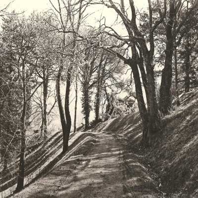 Cover image of show Ethics-Talk: The Greatest Good of Man is Daily to Converse About Virtue