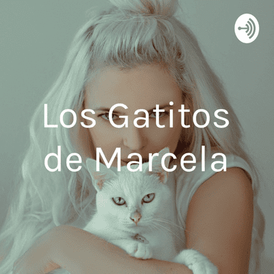 Los Gatitos de Marcela