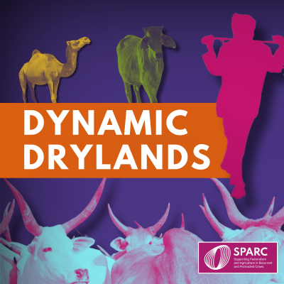 Dynamic Drylands