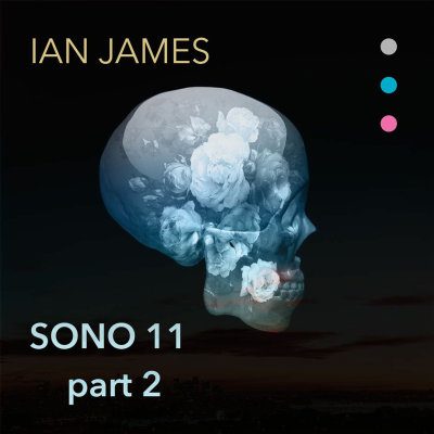 episode SONO 11 - Part 2 artwork