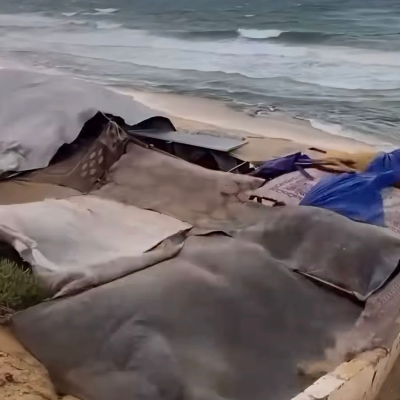 episode 19 novembre 2025 - Notiziario Mondo artwork