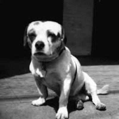 episode *PREVIEW* Soochow, The Drunk, Racist, Marine Corps Dog *LIVE IN GLASGOW* artwork