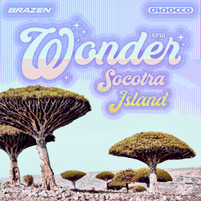 episode Socotra Island artwork