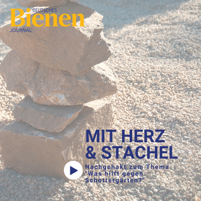 episode #4 Nachgehakt zum Thema "Was hilft gegen Schottergärten?" artwork