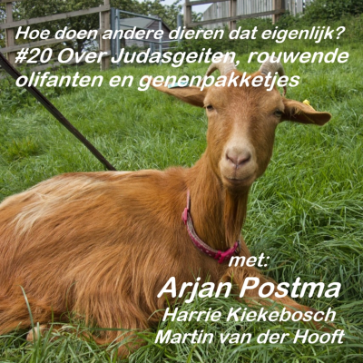 episode #20 Over Judasgeiten, rouwende olifanten en genenpakketjes artwork