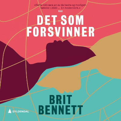 Det som forsvinner