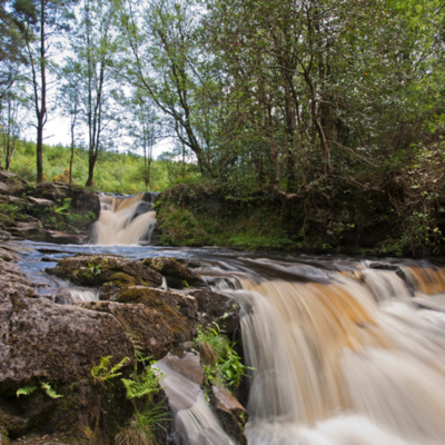 episode Discover Laois & The Slieve Bloom Mountains - Ellie Berry artwork