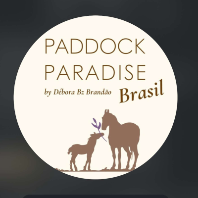 episode #21 Interview with Debora Brandao artwork