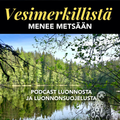 episode Jos sinä olisit metsä – kooste syksyltä 2022 artwork