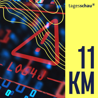 episode Open-Source: Schwarmintelligenz am Rande des Burnouts artwork