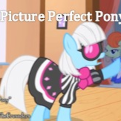 episode Picture Perfect Pony artwork