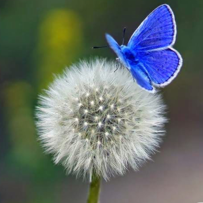 episode ~Hayat Akışını Değiştiren Anlar~Kelebek Etkisi artwork