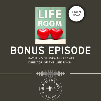 episode Bonus Episode: Sandra Gullacher from The Life Room artwork