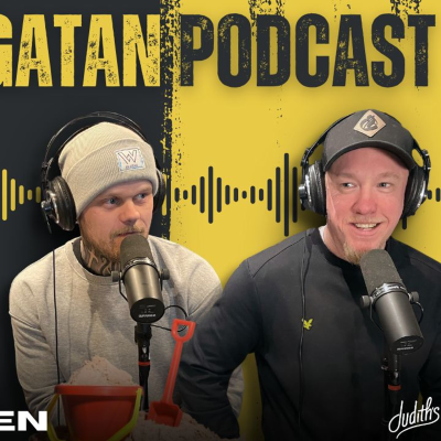 episode 206. Fjärde Panelen artwork