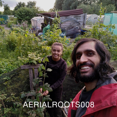 episode AERIALROOTS008 artwork
