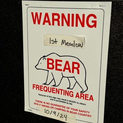 episode Yellowstone National Park: Celebrity bears, and a tale of two trout artwork
