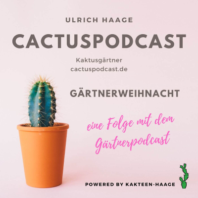 episode CactusPodcast 042 CactusEvents – Gärtnerweihnacht – der Weihnachtsmarkt auf Gärtnerart artwork