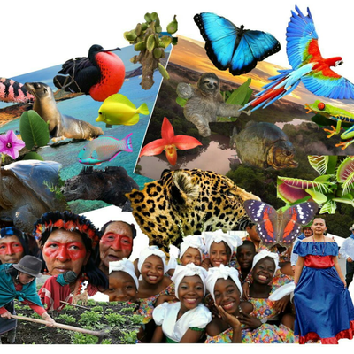 episode ECUADOR UN PAÍS MULTIÉTNICO Y PLURICULTURAL artwork