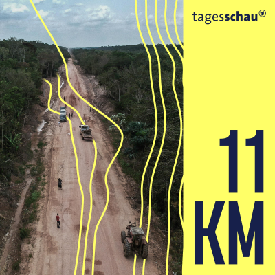 episode Schnellstraße im Regenwald: Weltklima auf der Kippe? artwork