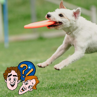 episode Teller, Pfannkuchen, Pappe – was kann man alles als Frisbee benutzen? artwork