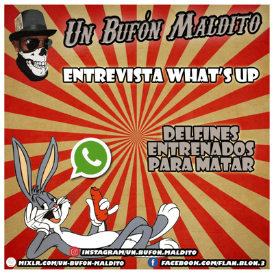 episode Entrevista What's up - Delfines entrenados para matar artwork