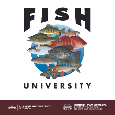 episode The Slab Lab Has a Setback | Fish University #483 artwork