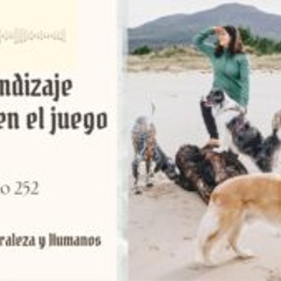 episode Descubre Como Aprenden Los Perros artwork