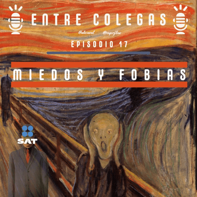 episode Episodio 17. Sobre miedos y fobias artwork