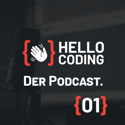 episode {01} Programmieren Lernen - die Entwicklung von Programmierer*innen artwork