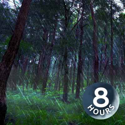 episode Rain Falling Sounds in Australian Forest 8 Hours I White Noise for Sleep or Focus artwork