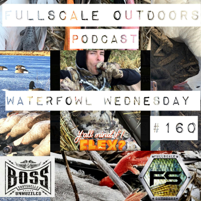 episode Waterfowl Wednesday #160 artwork