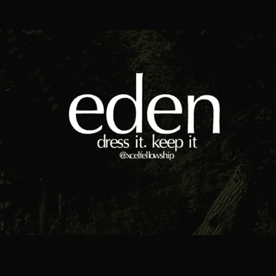 episode Eden - Dress It & Keep It artwork