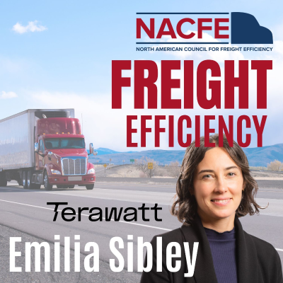 episode Ep. 106: Emilia Sibley – Terawatt artwork