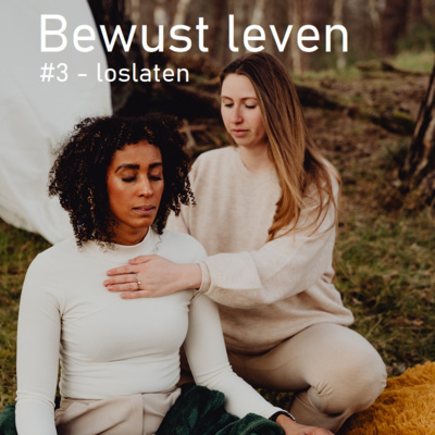 episode #3 - Loslaten artwork