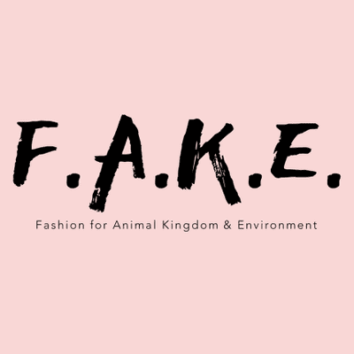 episode "Healing Through Fashion" with Sica Schmitz artwork