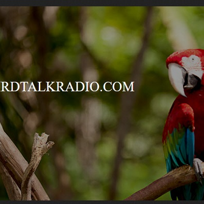 episode TONY SILVA - PARROT DIET artwork
