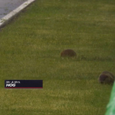episode F1’s Canadian Grand Prix Just Changed EVERYTHING artwork