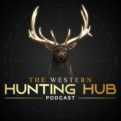 episode 203 - Colorado Archery Elk 2024 artwork