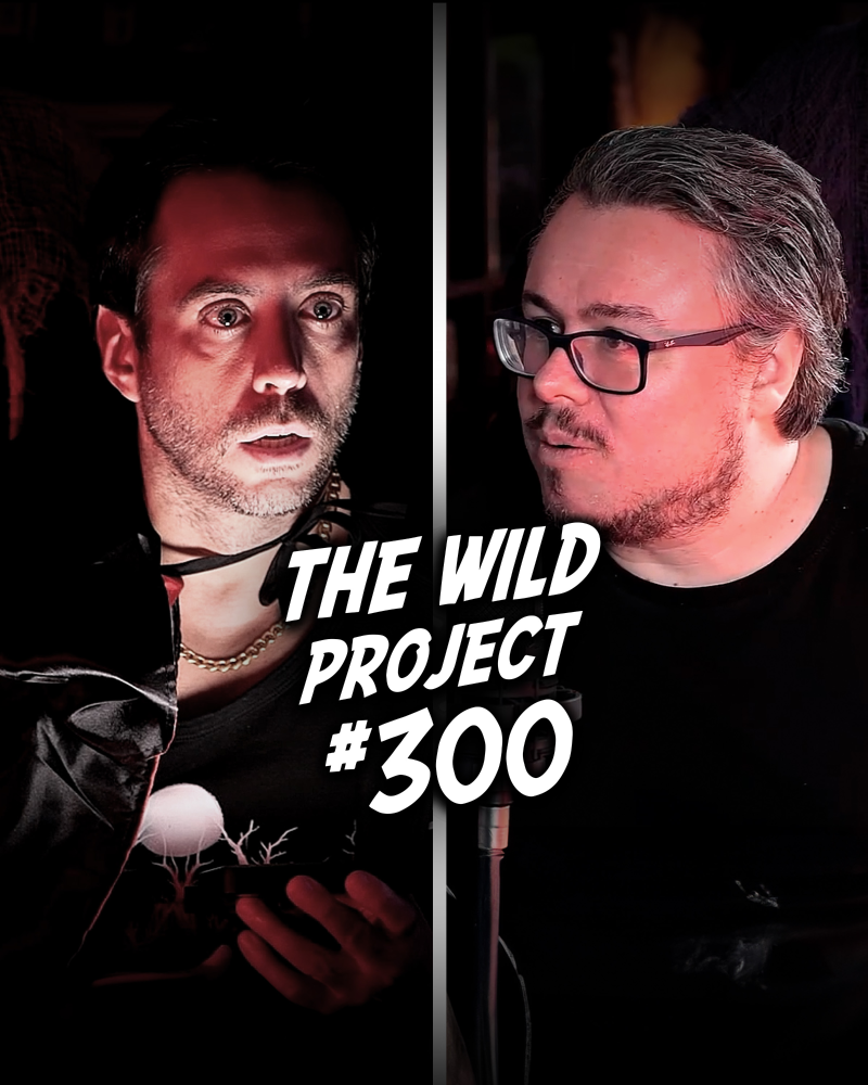 cover image of "The Wild Project"