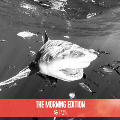 episode Why shark attacks in Australia are increasing artwork