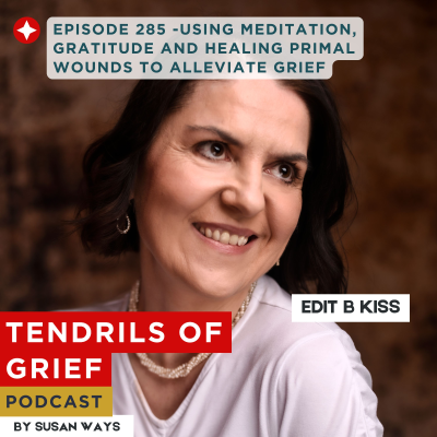episode Using Meditation, Gratitude and Healing Primal Wounds to alleviate Grief artwork