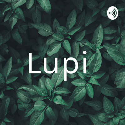 Lupi