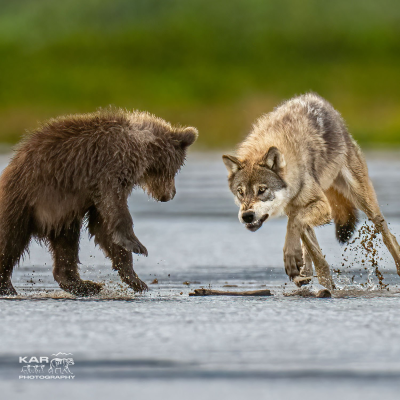 episode Episode 68 artwork