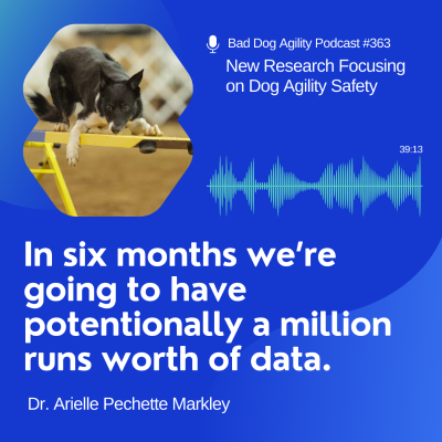 episode 363: New Research Focusing on Dog Agility Safety artwork