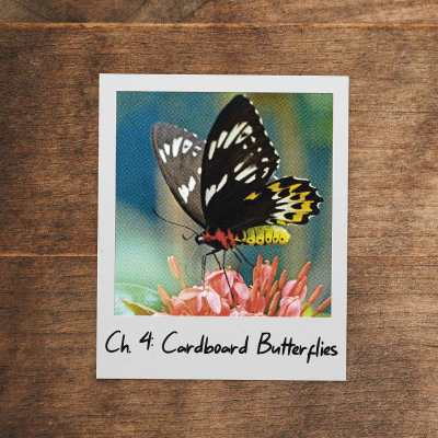 episode Cardboard Butterflies artwork