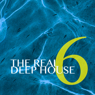 episode THE REAL DEEP HOUSE. (2016) SIXTH CHAPTER artwork