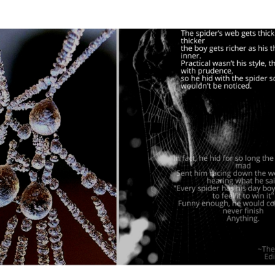 episode The Spiders Web artwork