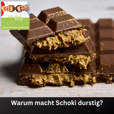 episode Warum macht Schoki durstig? artwork