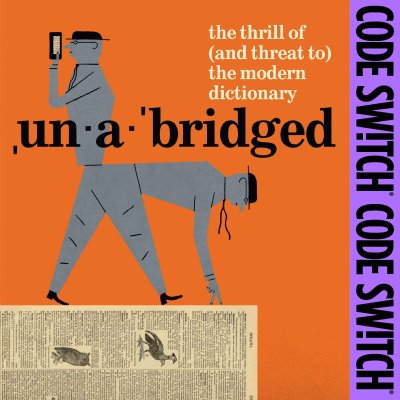 episode Racist slurs, naughty words, and how dictionary editors define them artwork